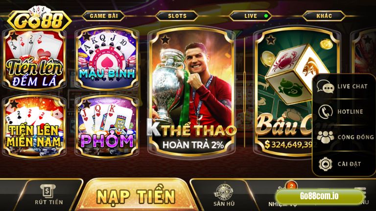 Banner www.chimcanhdatviet.com